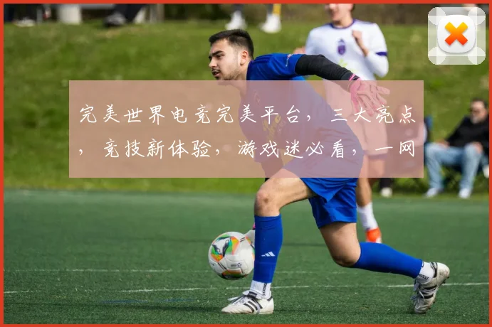 完美世界电竞完美平台，三大亮点，竞技新体验，游戏迷必看，一网打尽