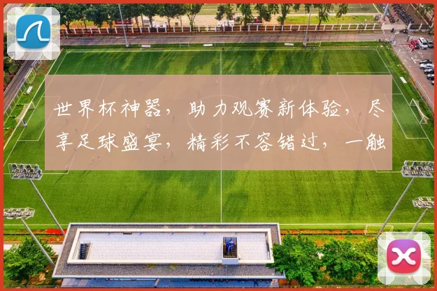 世界杯神器，助力观赛新体验，尽享足球盛宴，精彩不容错过，一触即达