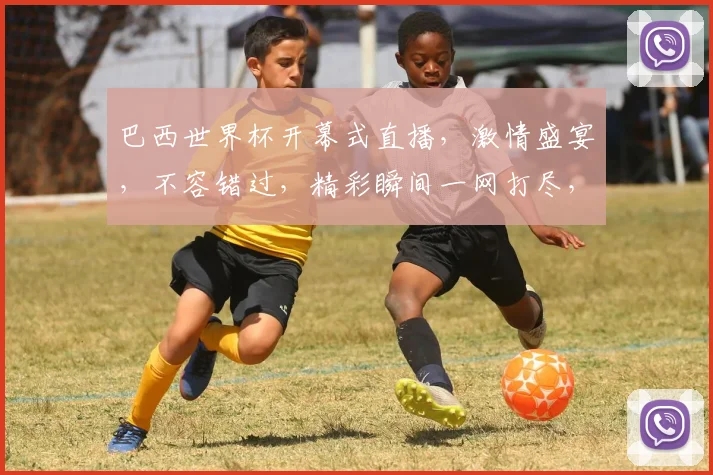 巴西世界杯开幕式直播，激情盛宴，不容错过，精彩瞬间一网打尽，共襄盛举